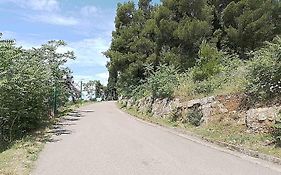 Aga Apartman Podgorica