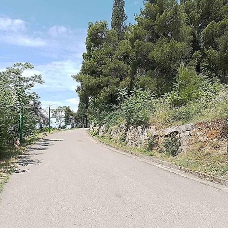 Aga Apartman Podgoriçe Dış mekan fotoğraf