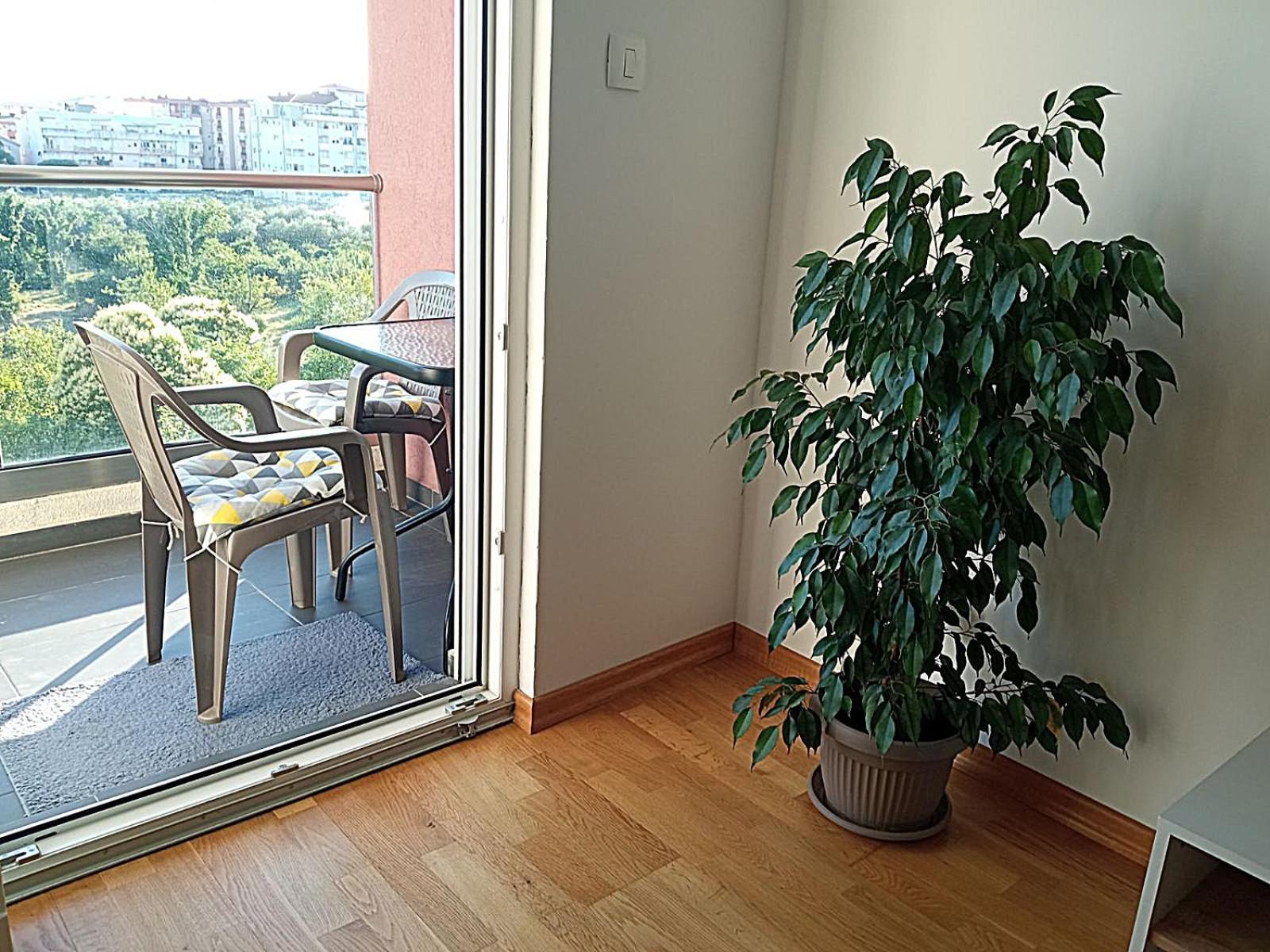 Aga Apartman Podgoriçe Dış mekan fotoğraf